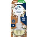 Recambio de Aceite Esencial Eléctrico - Sensual Sandalwood & Jasmine - 20 ml