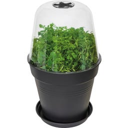 elho Couvercle de Serre GREEN BASICS - Rond