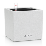 Lechuza CANTO Stone 14 Tabletop Planter
