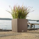 Lechuza CUBE Cottage 40 Planter Complete Set - sandy brown