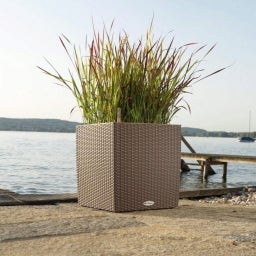 Lechuza CUBE Cottage 40 Planter Complete Set - sandy brown