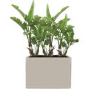 elho june brick divider 80 cm - 