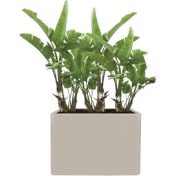 elho june brick divider 80 cm - 