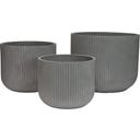 fleur ami Linea Pflanzgefäß grau, 3er Set