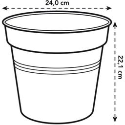 green basics Anzuchttopf 