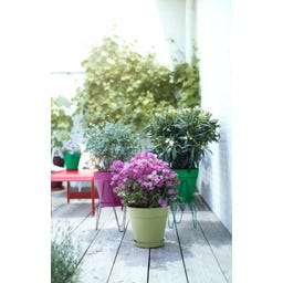 elho Pot Rond LOFT URBAN - 20 cm - Vert pistache