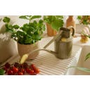 HAWS Binnengieter Classic, 1 liter - Lichen Green