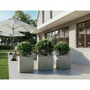 Roccastone Planting Cube - Natural Concrete - 50 x 50 x 54 cm