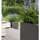 fleur ami Roccastone Pflanzwürfel XL anthrazit - 80 x 80 x 60 cm