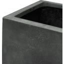 fleur ami Roccastone Pflanzkasten anthrazit - 80 x 20 x 20 cm