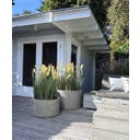 Roccastone Bodengefäß Cylinder natur beton - Ø 48 cm, H 30 cm
