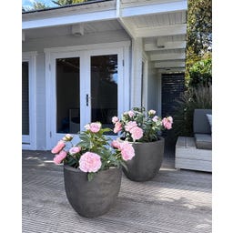 fleur ami Roccastone Bodengefäß Classic anthrazit - Ø 45 cm, H 38 cm