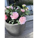 fleur ami Roccastone Bodengefäß Classic anthrazit - Ø 45 cm, H 38 cm
