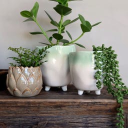 Chic Antique Pot de Fleurs sur Pied « Fayence »