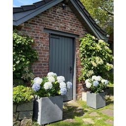 fleur ami Polystone Pflanzwürfel grau