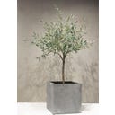 fleur ami Polystone Pflanzwürfel grau