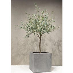 fleur ami Polystone Pflanzwürfel grau