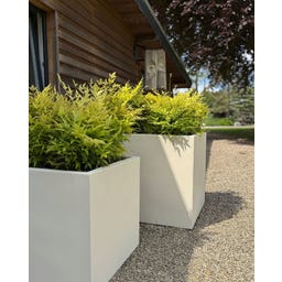 fleur ami Polystone Pflanzwürfel creme