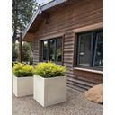 fleur ami Polystone Pflanzwürfel creme