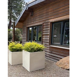 fleur ami Polystone Pflanzwürfel creme