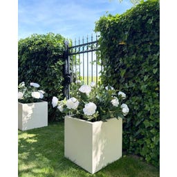 fleur ami Polystone Pflanzwürfel creme
