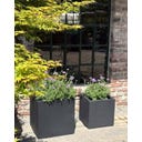fleur ami Polystone Pflanzwürfel anthrazit