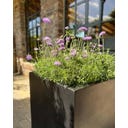 fleur ami Polystone Pflanzwürfel anthrazit