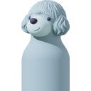 asobu Isolierflasche Pudel, 460 ml