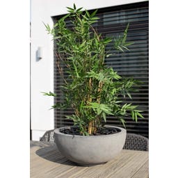 fleur ami Polystone Ego Plus Pflanzschale grau
