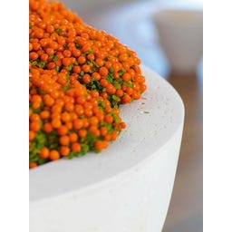 fleur ami Polystone Ego Plus Pflanzschale creme