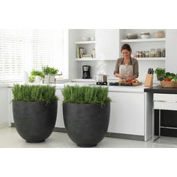 fleur ami Polystone Ego Giant Bodengefäß anthrazit