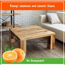 POLIBOY Möbel Reiniger - 375 ml