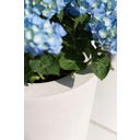 fleur ami Polystone Bodenvase Conical creme