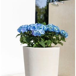fleur ami Polystone Bodenvase Conical creme