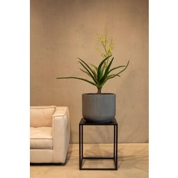 fleur ami Linea Pflanzgefäß grau, 3er Set