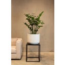 fleur ami Linea Pflanzgefäß weiß - Ø 37 cm, H 30 cm
