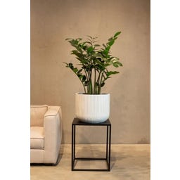 fleur ami Linea Pflanzgefäß weiß - Ø 37 cm, H 30 cm