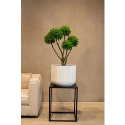 fleur ami Linea Pflanzgefäß weiß - Ø 37 cm, H 30 cm