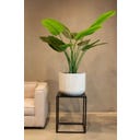 fleur ami Linea Pflanzgefäß weiß - Ø 37 cm, H 30 cm