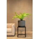fleur ami Linea Pflanzgefäß grau - Ø 37 cm, H 30 cm