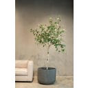fleur ami Linea Pflanzgefäß grau - Ø 54 cm, H 43 cm