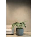 fleur ami Linea Pflanzgefäß grau - Ø 54 cm, H 43 cm