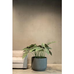 fleur ami Linea Pflanzgefäß grau - Ø 54 cm, H 43 cm