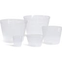 fleur ami Pflanzeinsatz rund transparent