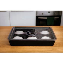 Dough Tray