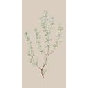 IB Laursen Papirnate serviete 