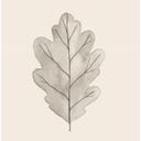 IB Laursen Papirnate serviete 
