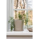 IB Laursen Vaso con Sottovaso Beige