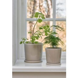 IB Laursen Vaso con Sottovaso Beige