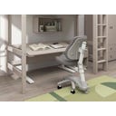Flexa STUDY Height Adjustable Desk - White Glazed Pine / White
